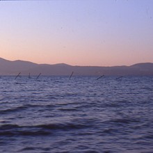 Una giornata particolare. Antico e presente dell'arte sul lago: Artisti contemporanei ad Anguillara Sabazia Una giornata particolare. Antico e presente dell'arte sul lago: Artisti contemporanei ad Anguillara Sabazia
