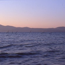 Una giornata particolare. Antico e presente dell'arte sul lago: Artisti contemporanei ad Anguillara Sabazia