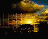 La Fondation Cartier La Fondation Cartier