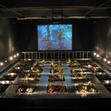 Alfredo Jaar. Che cento fiori sboccino Alfredo Jaar. Che cento fiori sboccino