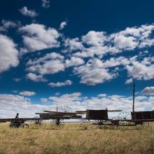 LAM 360° - Land Art Mongolia. La quarta edizione della Biennale in Mongolia: intervista a Valentina Gioia Levy di Luisa Galdo.